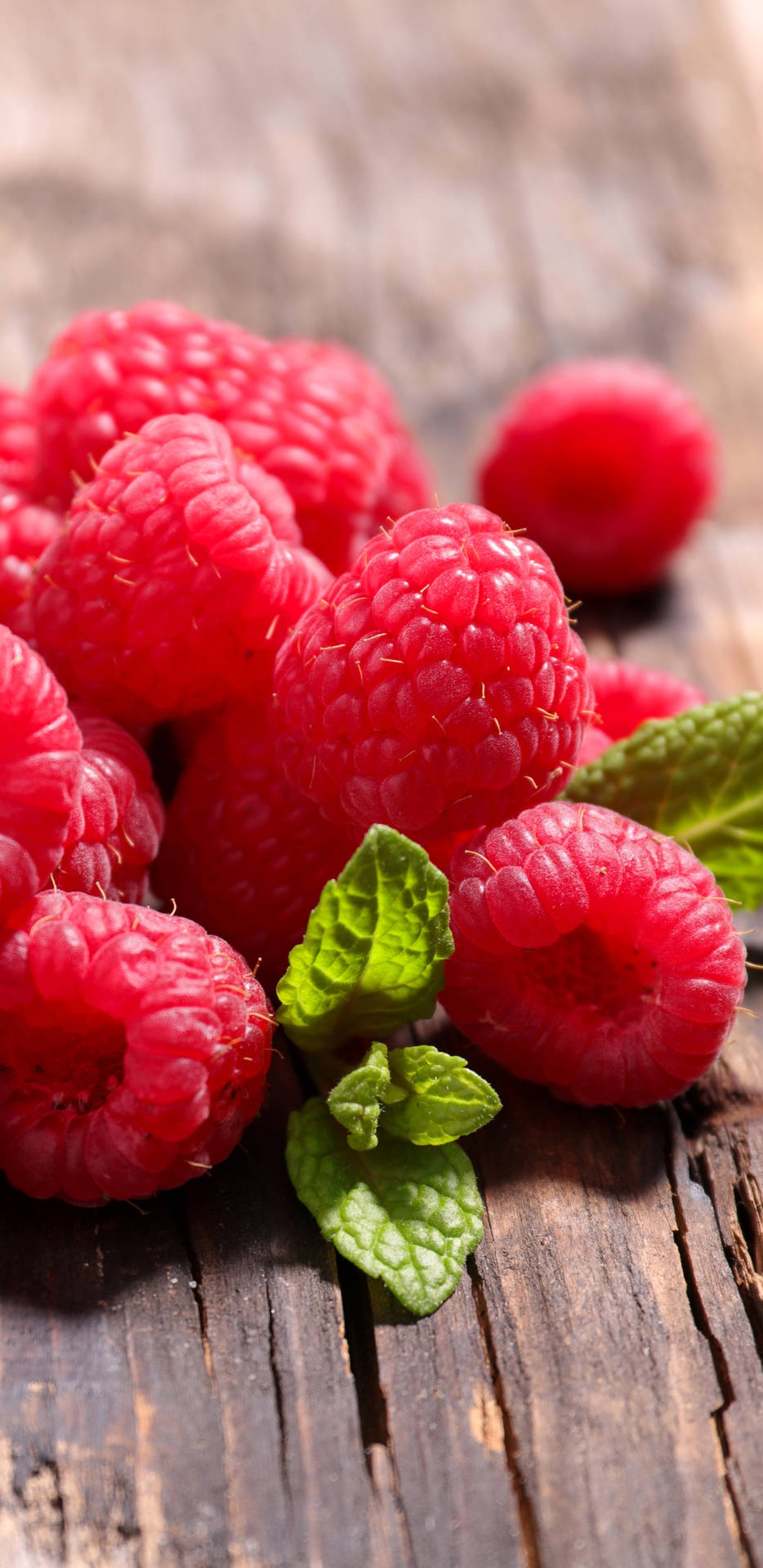 Fresh And Ripe Red Raspberries