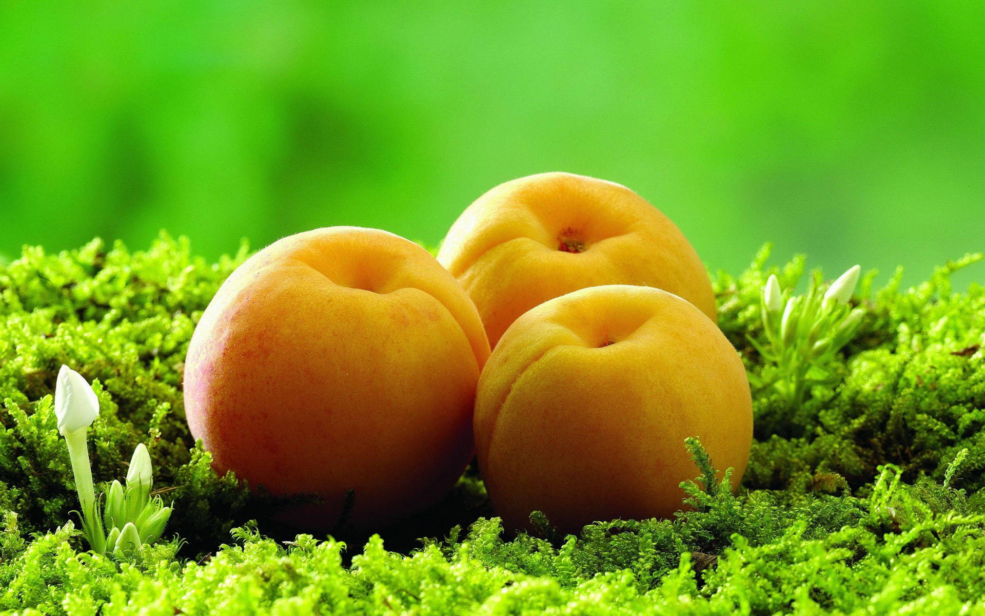 Fresh And Succulent Apricots Background