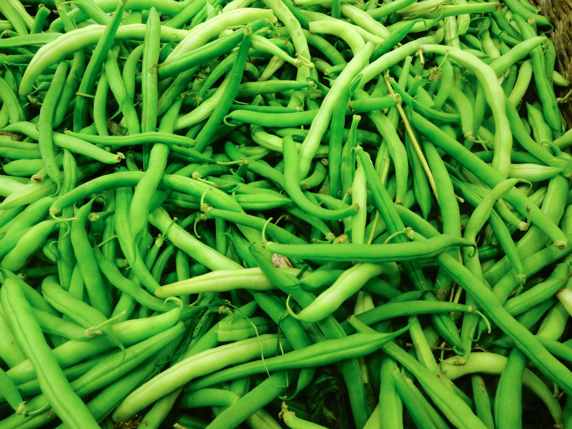 Fresh And Vibrant Green Beans Background