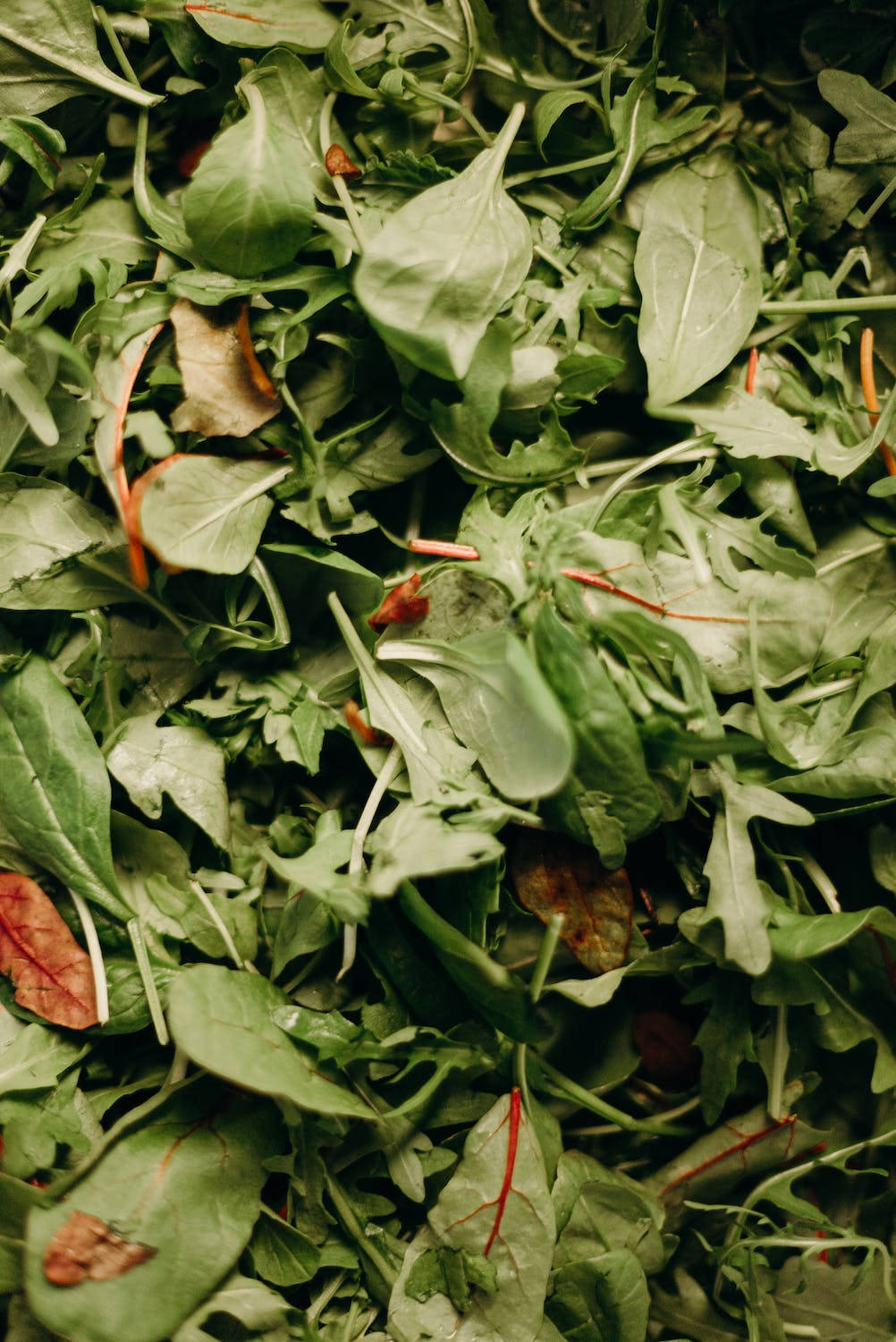 Fresh And Vibrant Spinach Close-up Background