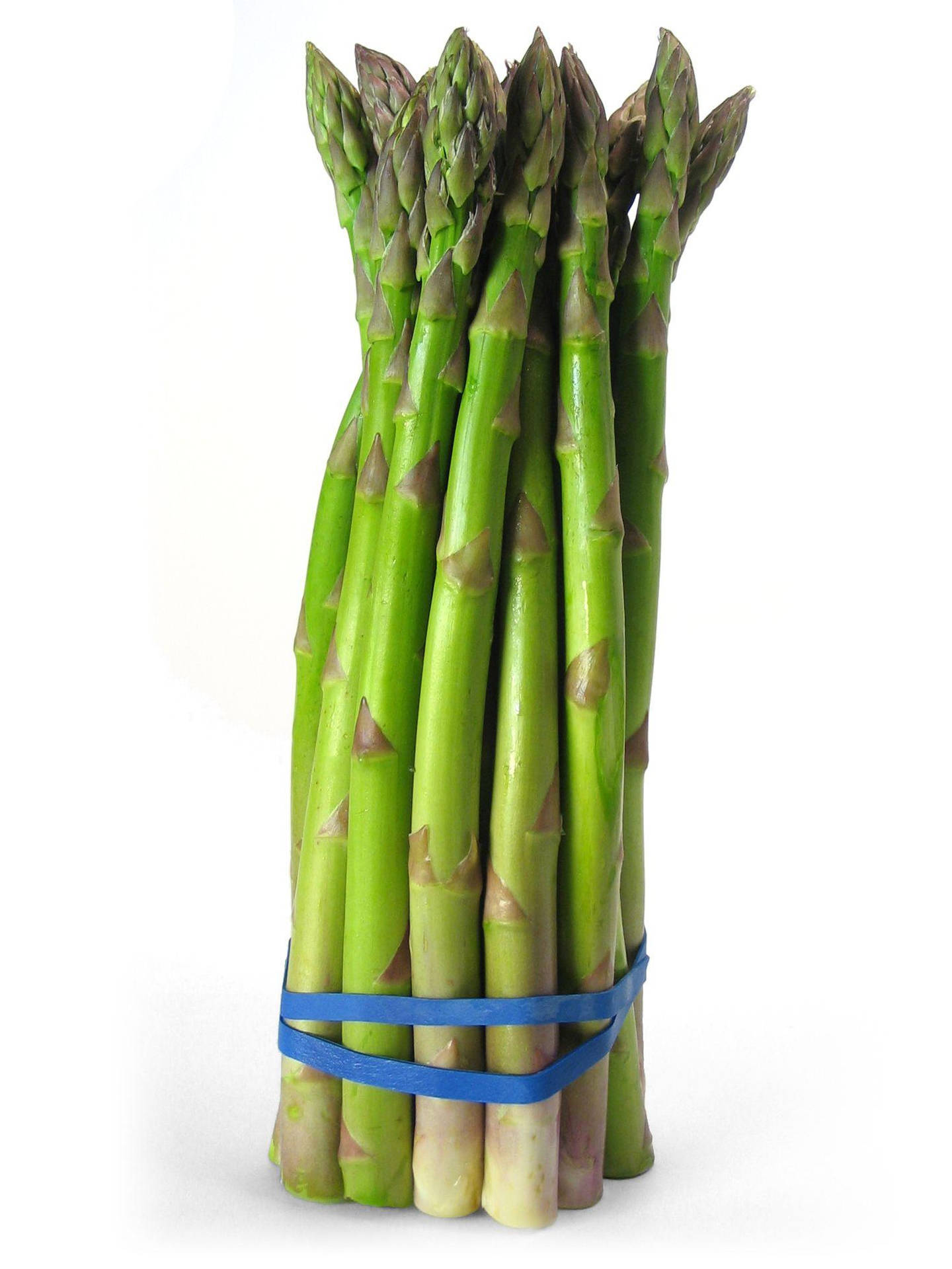 Fresh Asparagus Growing In A Perennial Garden Background