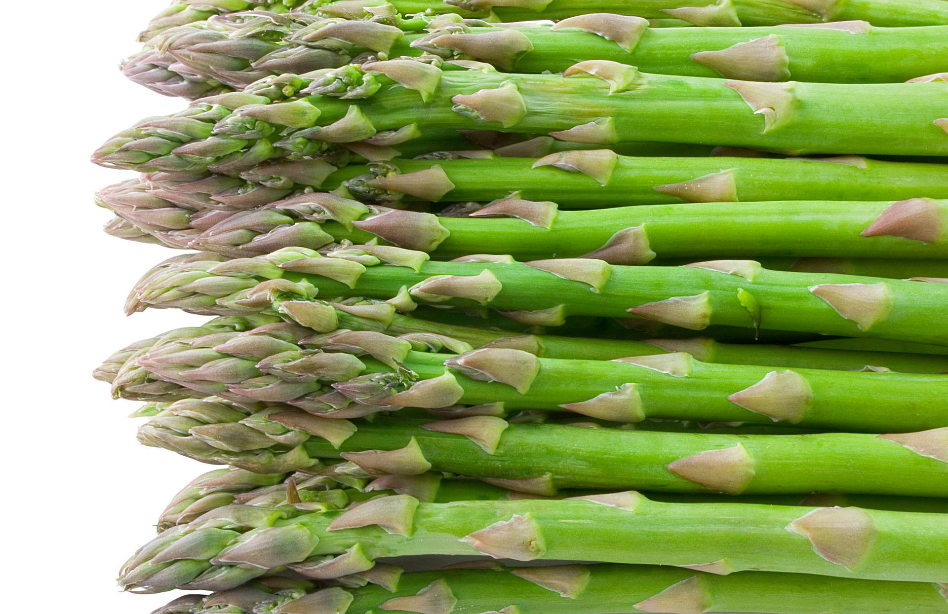 Fresh Asparagus Stems In Vibrant Greens Background