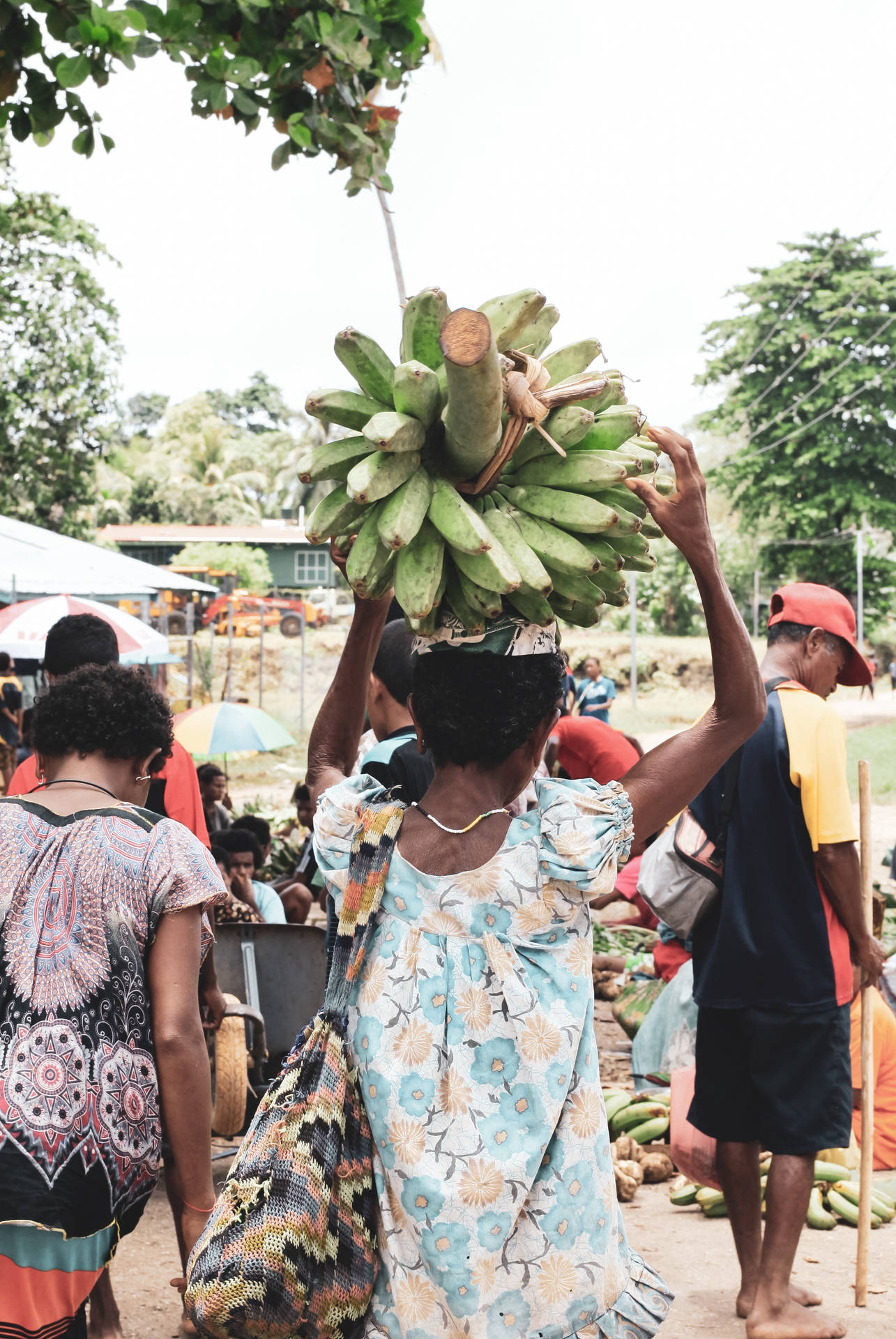 Fresh Bananas Against The Scenic Backdrop Of Papua New Guinea Background