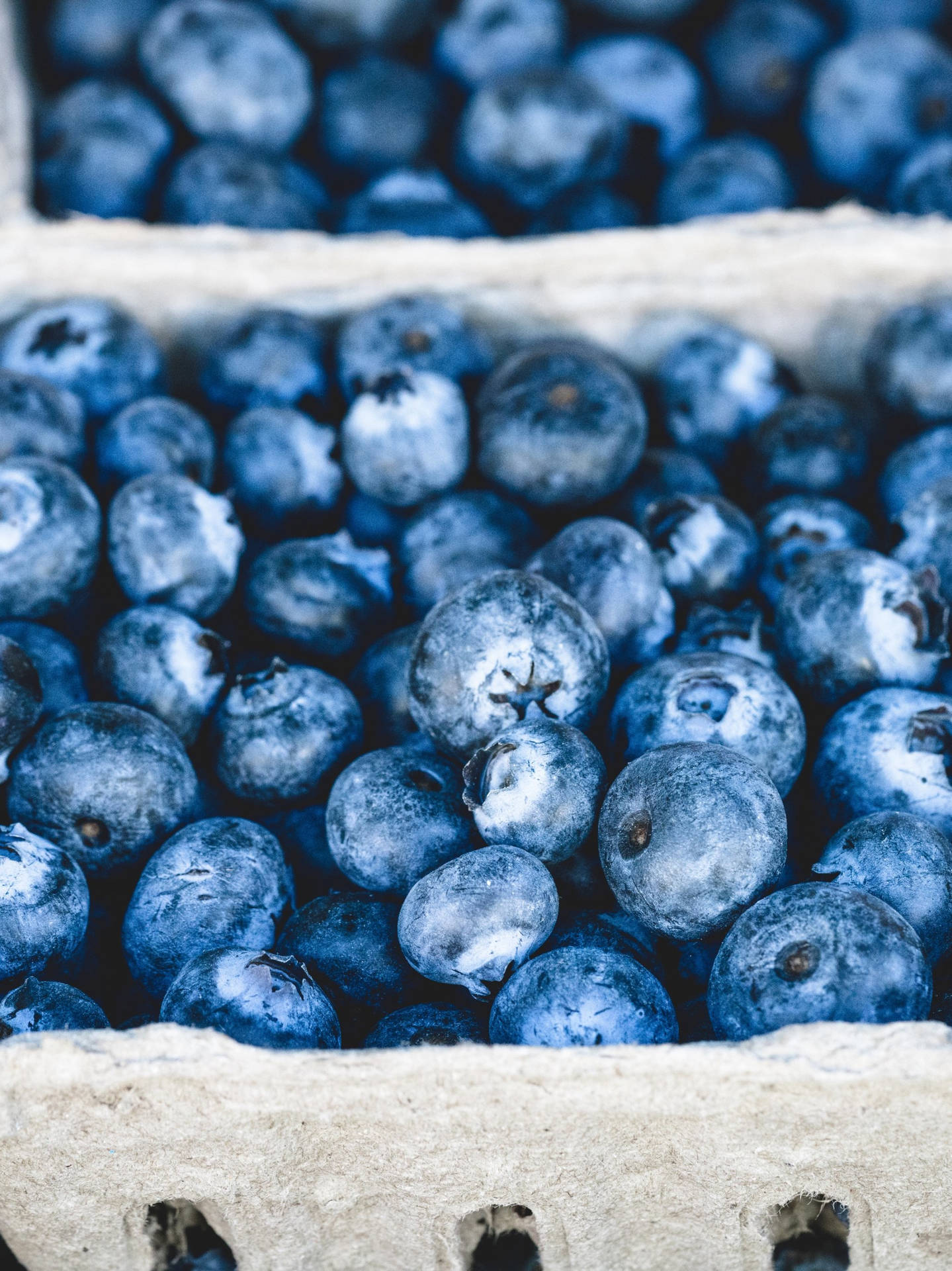 Fresh Blueberries Display