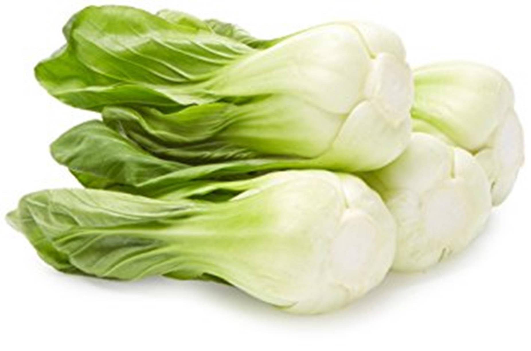 Fresh Bok Choy Chinese Cabbages Background