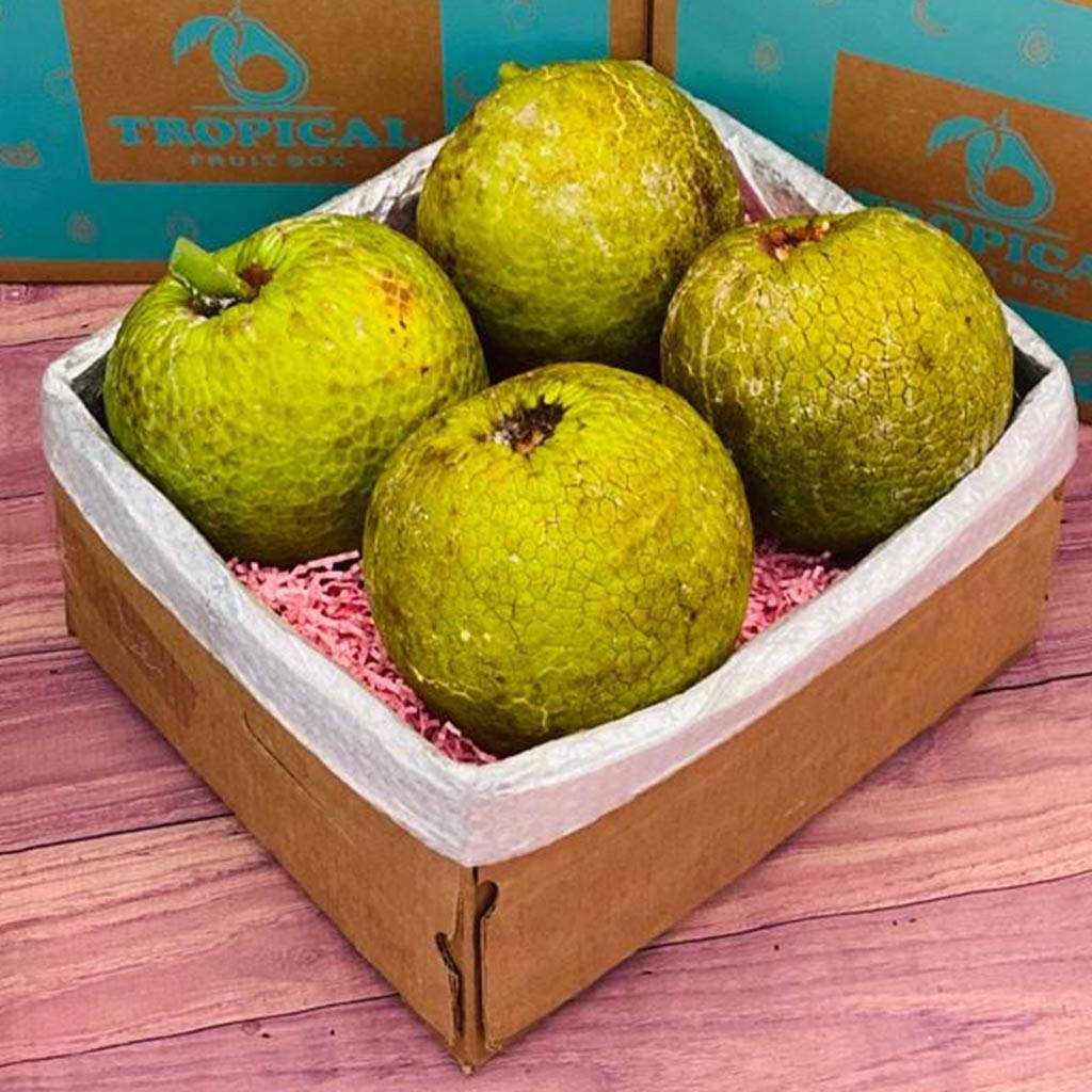 Fresh Breadfruit Harvest Displayed In A Box. Background