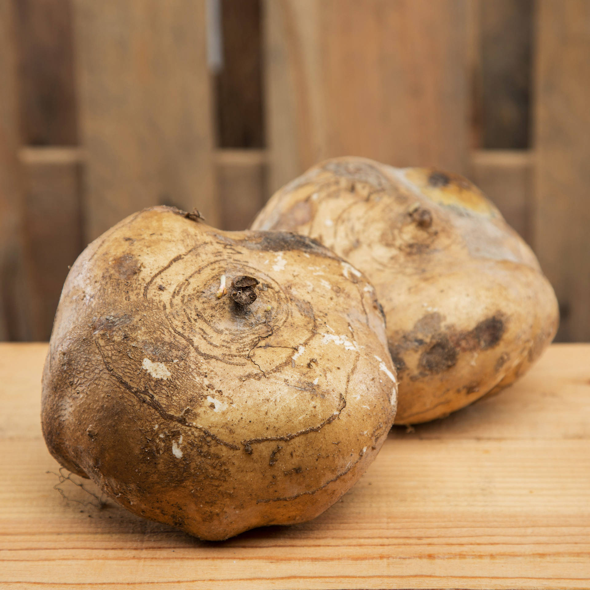 Fresh Brown-skinned Turnips Background