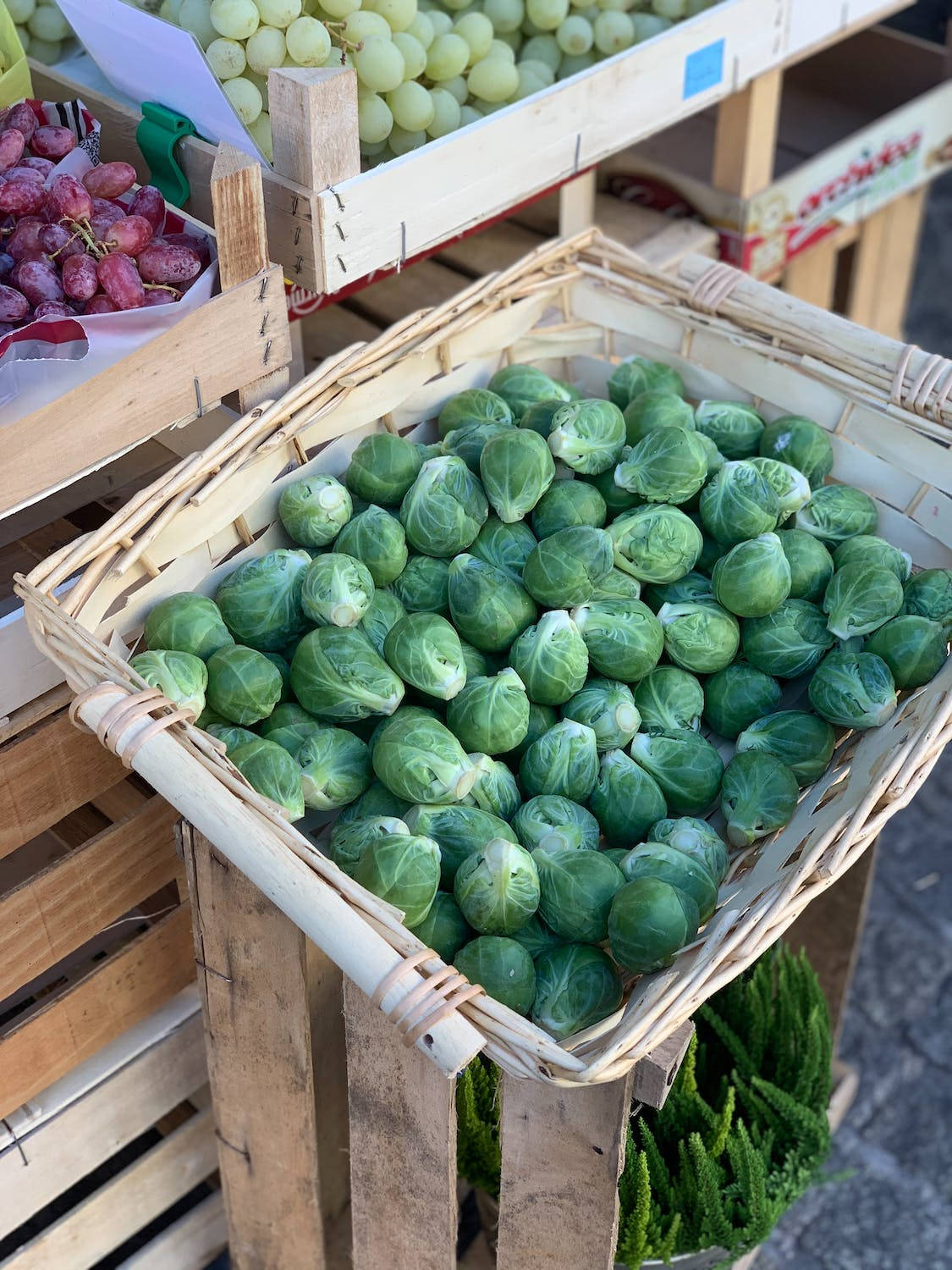 Fresh Cabbage Display In Market Background