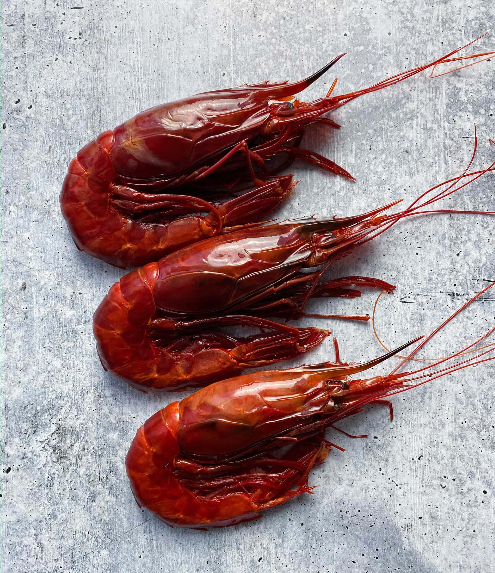 Fresh Carabineros Prawnson Grey