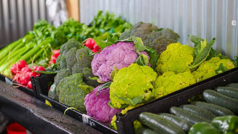 Fresh Cauliflower Harvest In Crates Background