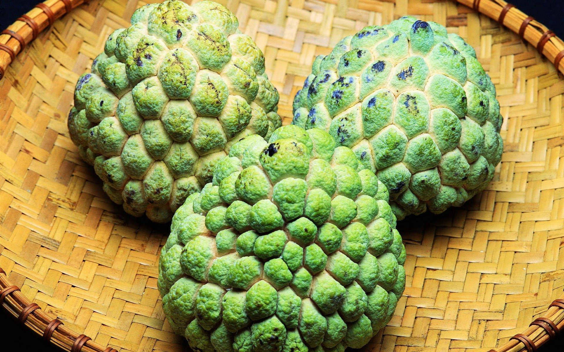 Fresh Cherimoya Fruit Bearing Plant Background