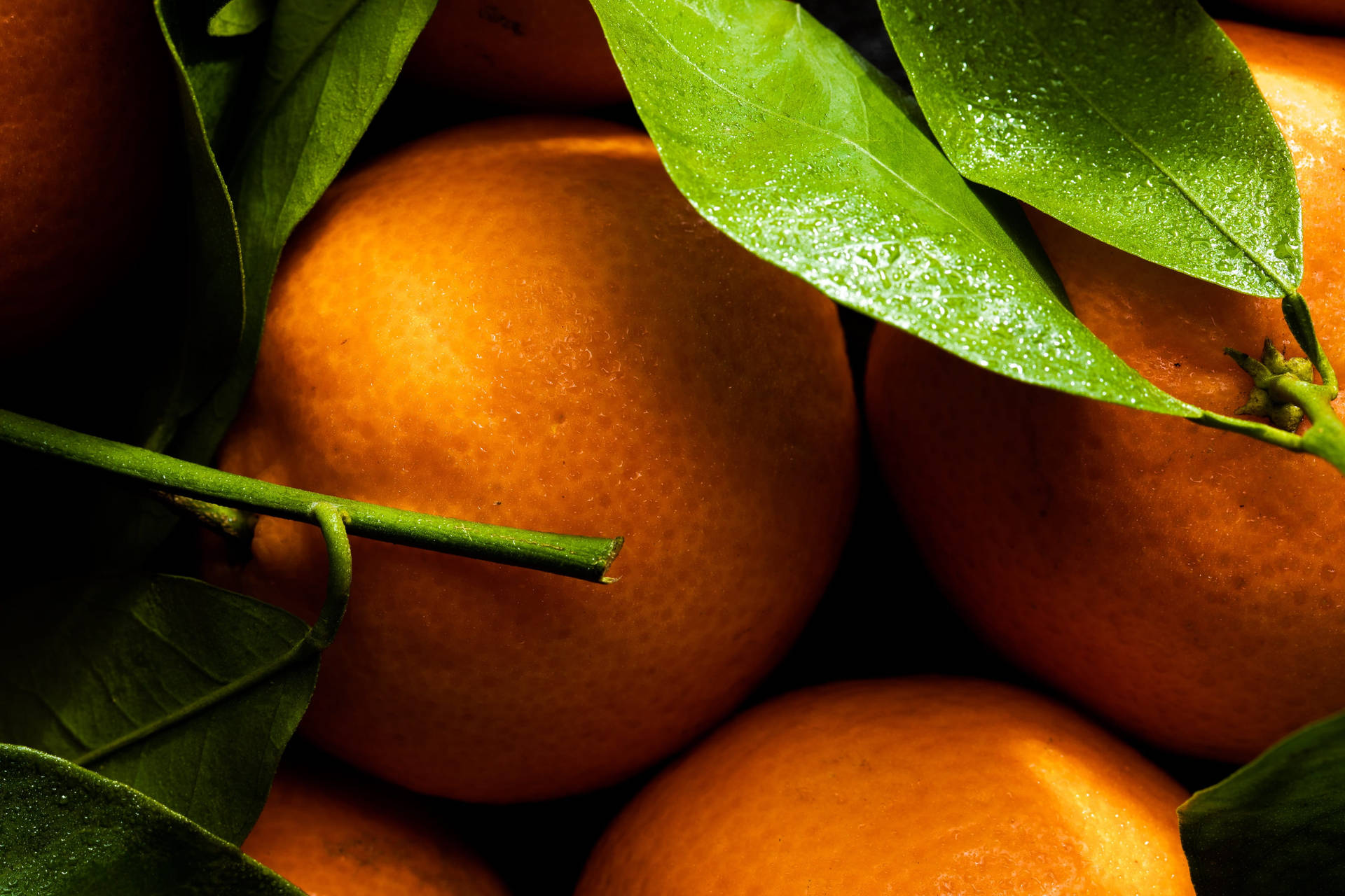 Fresh Clementine Citrus Fruits Close-up View