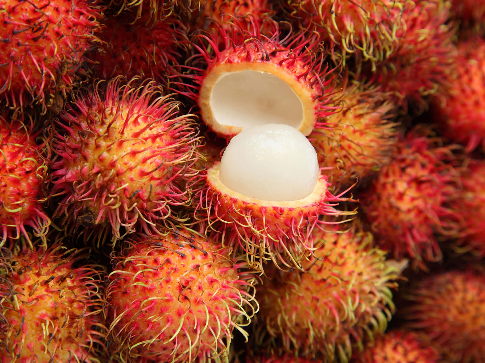 Fresh Cluster Of Pulasan Fruits