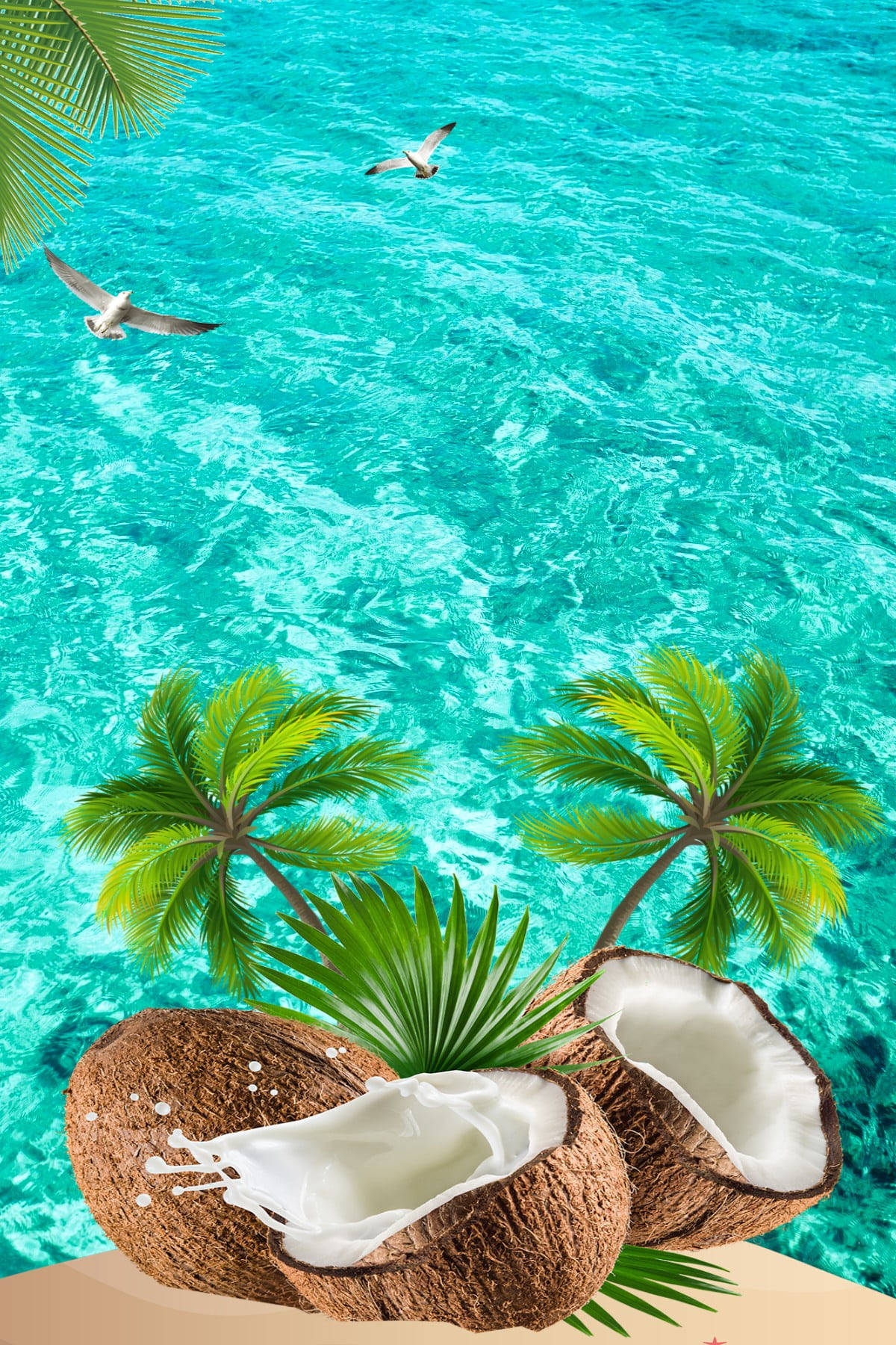 Fresh Coconut Fruits Background