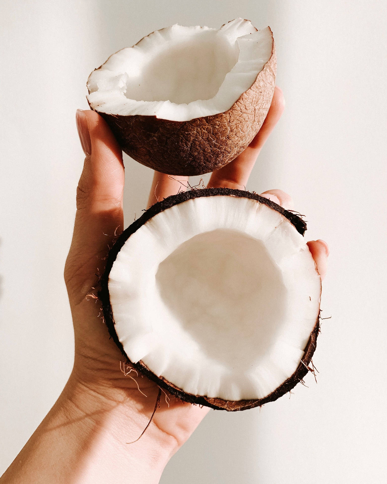 Fresh Coconut Slices