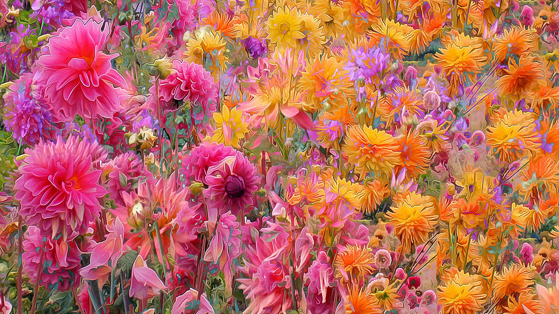 Fresh Dahlia Flower Field Painting Background