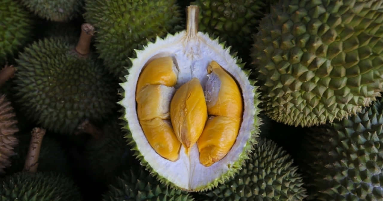 Fresh Durian Fruit Opened Amongst Others.jpg Background