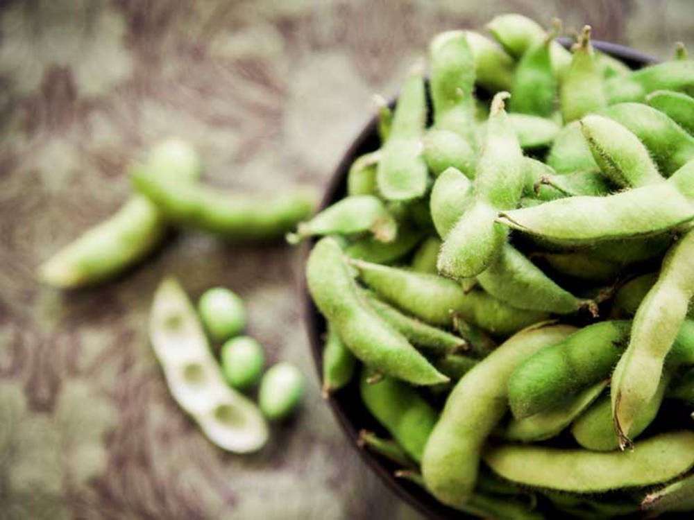 Fresh Edamame Beans In A Bowl Background