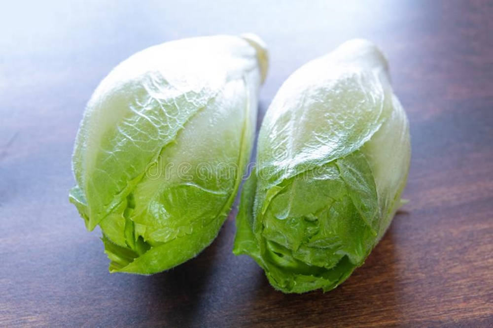 Fresh Endive Leaves In Natural Setting Background