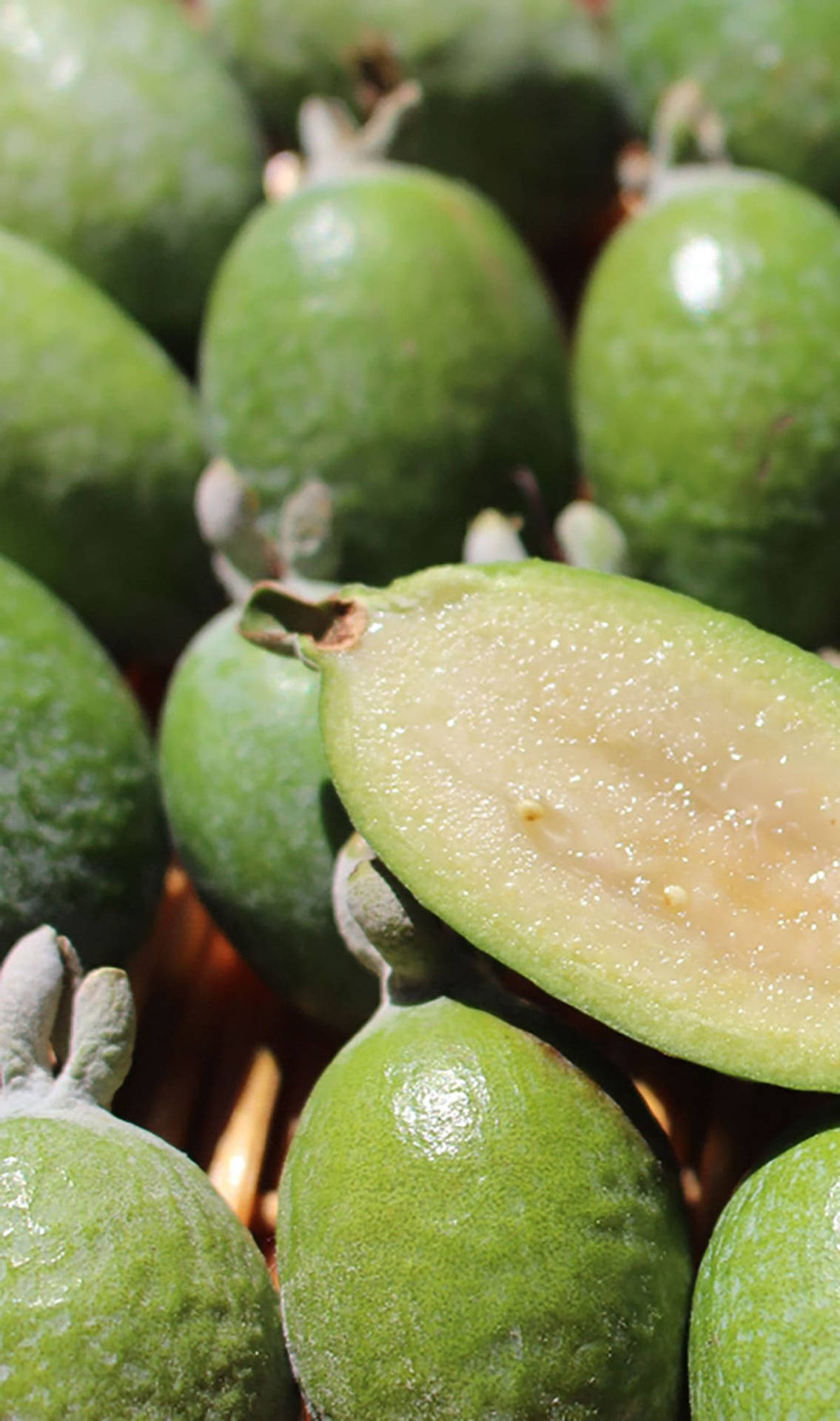 Fresh Feijoa Sellowiana Arranged Beautifully