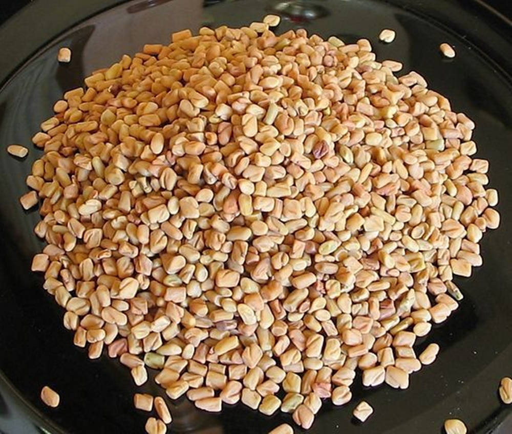 Fresh Fenugreek Leaves On A Glass Plate Background