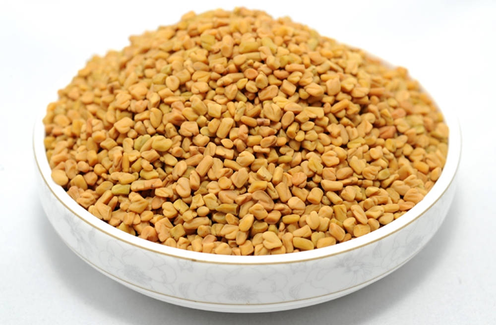 Fresh Fenugreek Seeds In Wide Bowl Background