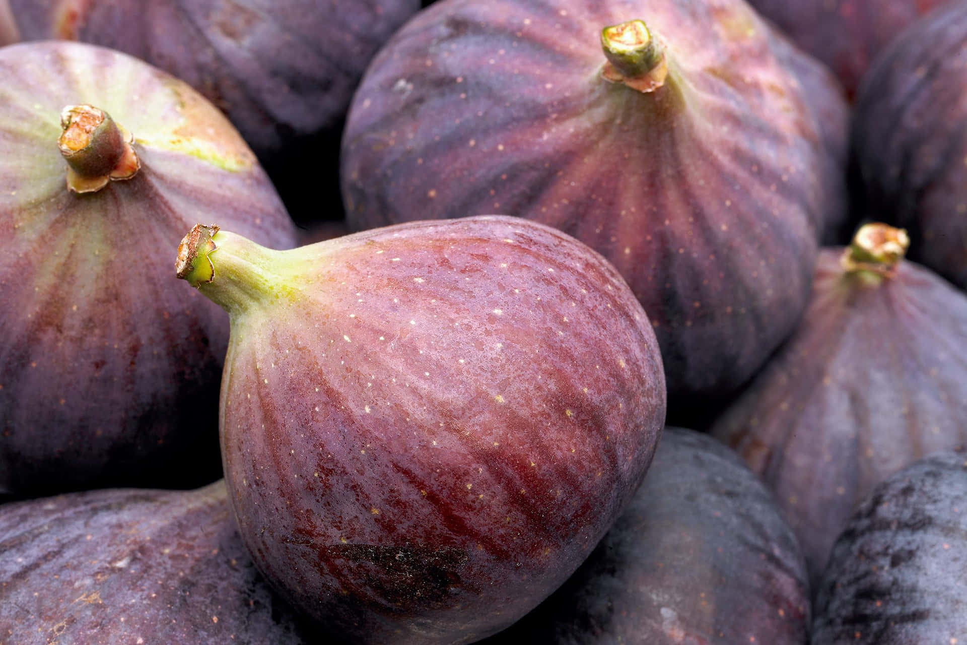 Fresh Figs Closeup Background