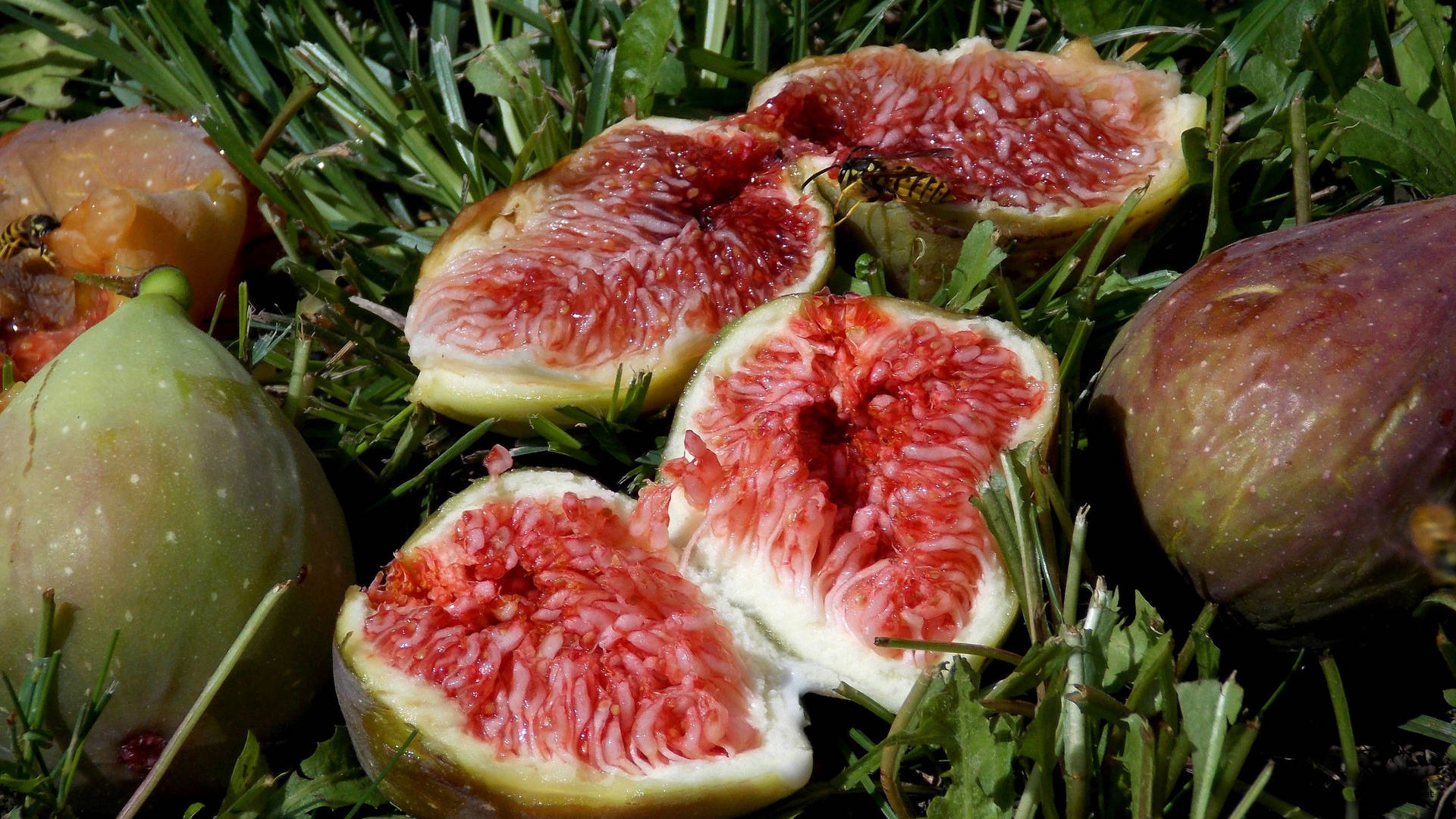 Fresh Figs Scattered On A Lush Green Grass Background