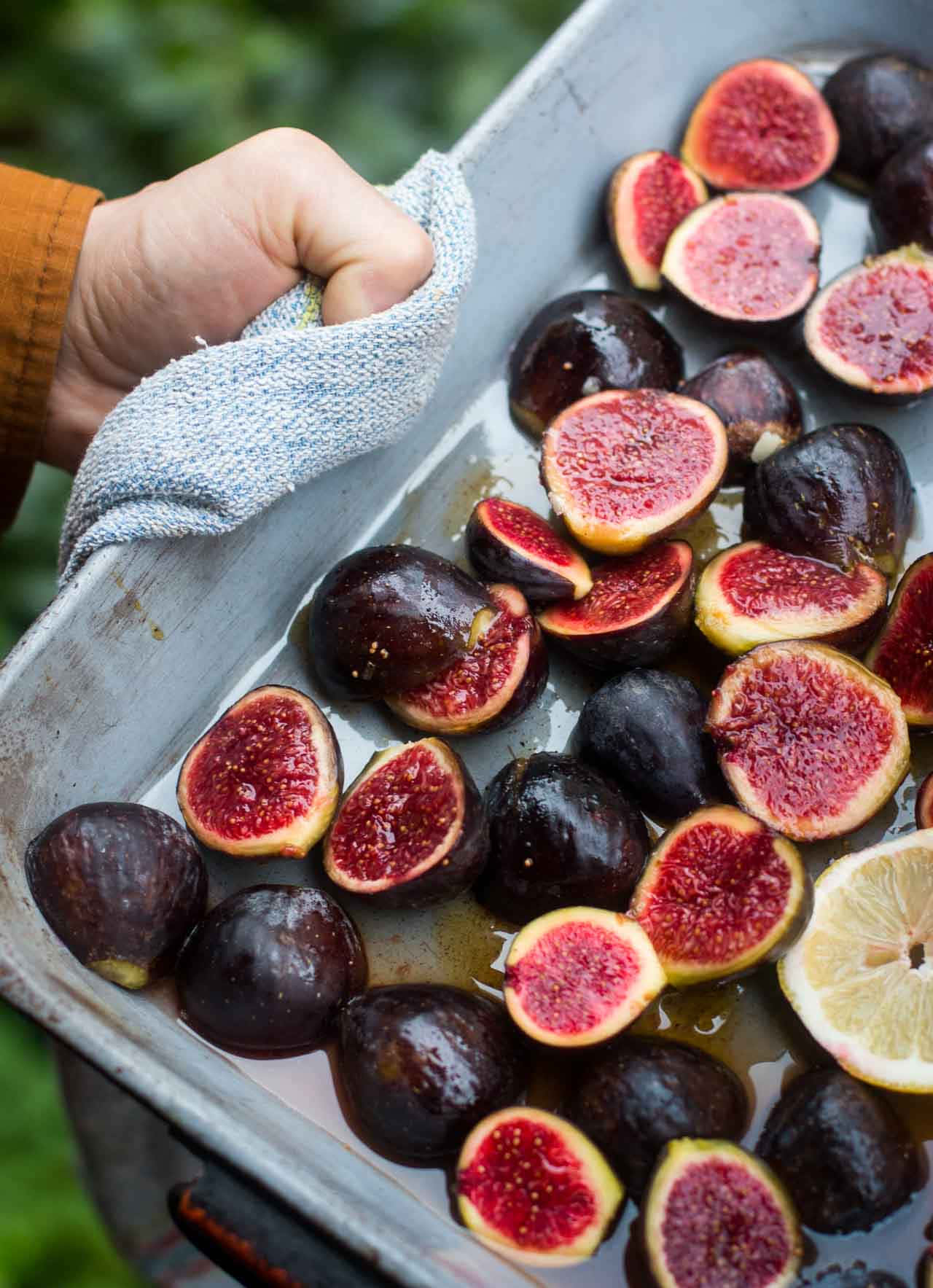 Fresh Figsand Lemonin Tray Background