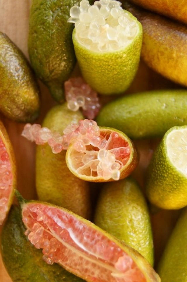 Fresh Finger Limes Cut Open