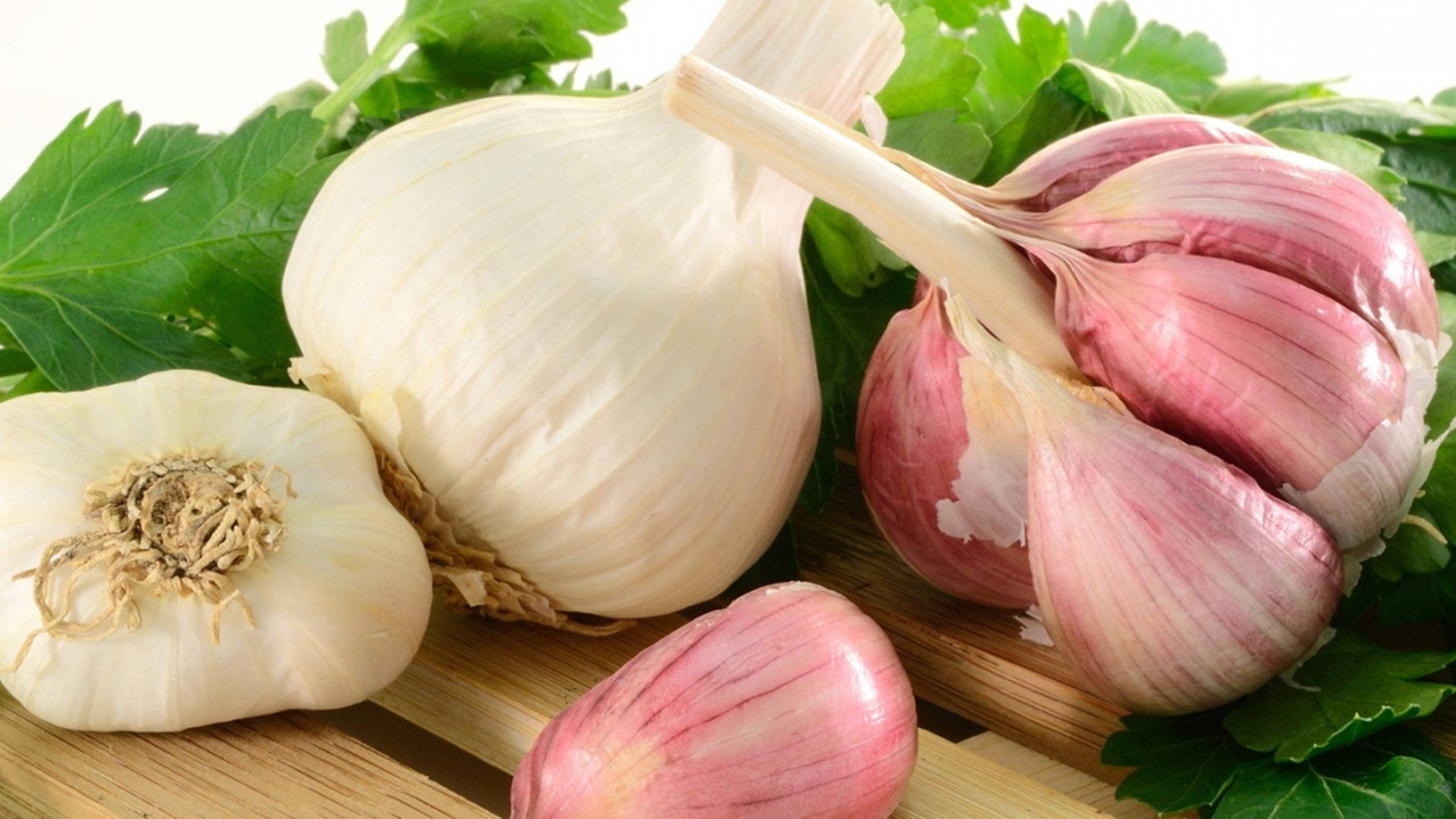 Fresh Garlic Bulbs In White And Purple Background