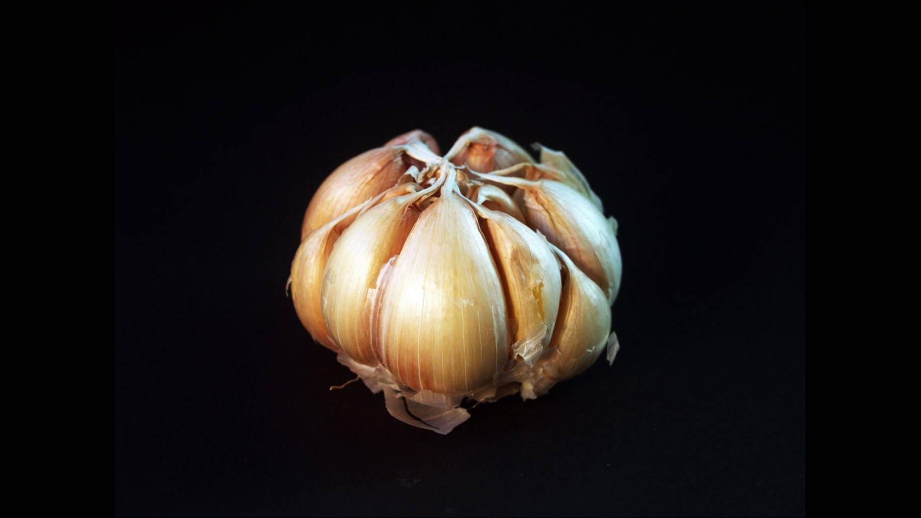 Fresh Garlic Cloves On A Dark Background