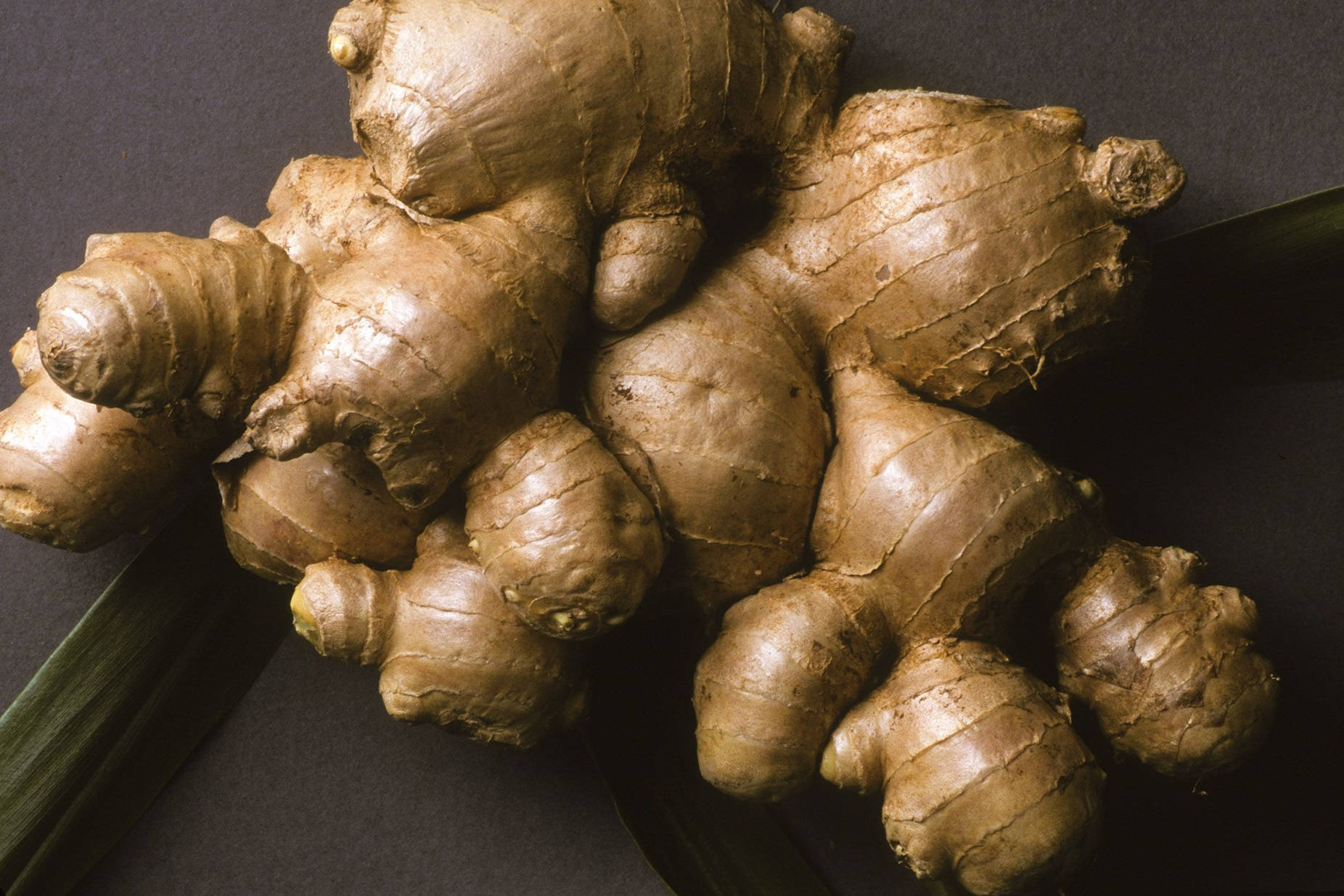 Fresh Ginger Rhizome Vegetable Extreme Close Up Background