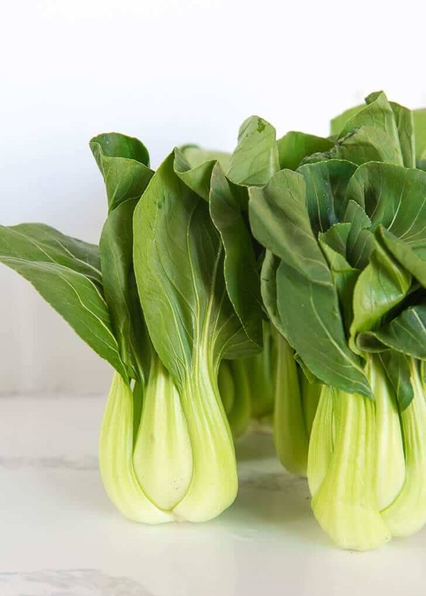 Fresh Glossy Bok Choy Cabbages Background