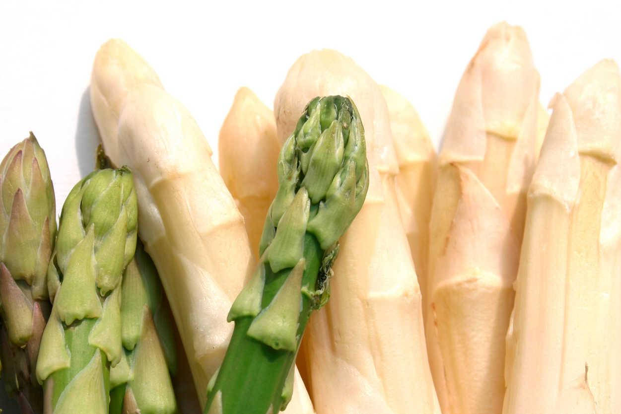 Fresh Green And White Asparagus Stalks Background