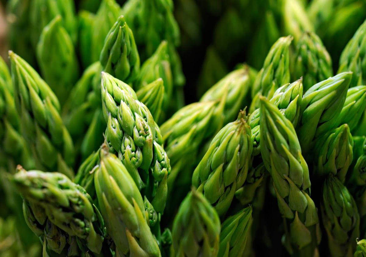 Fresh Green Asparagus - Nature's Delight Background