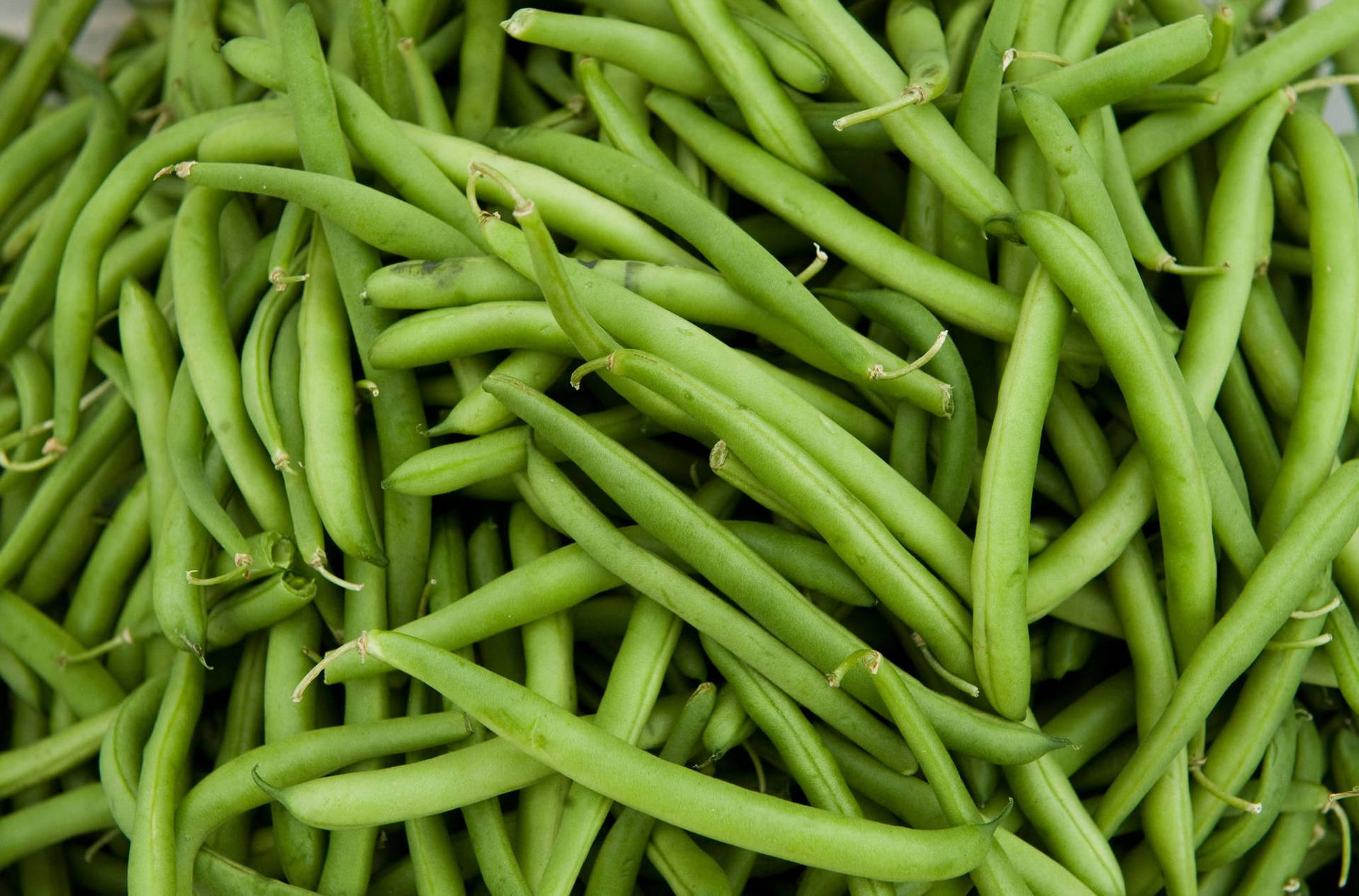 Fresh Green Beans In Abundance Background