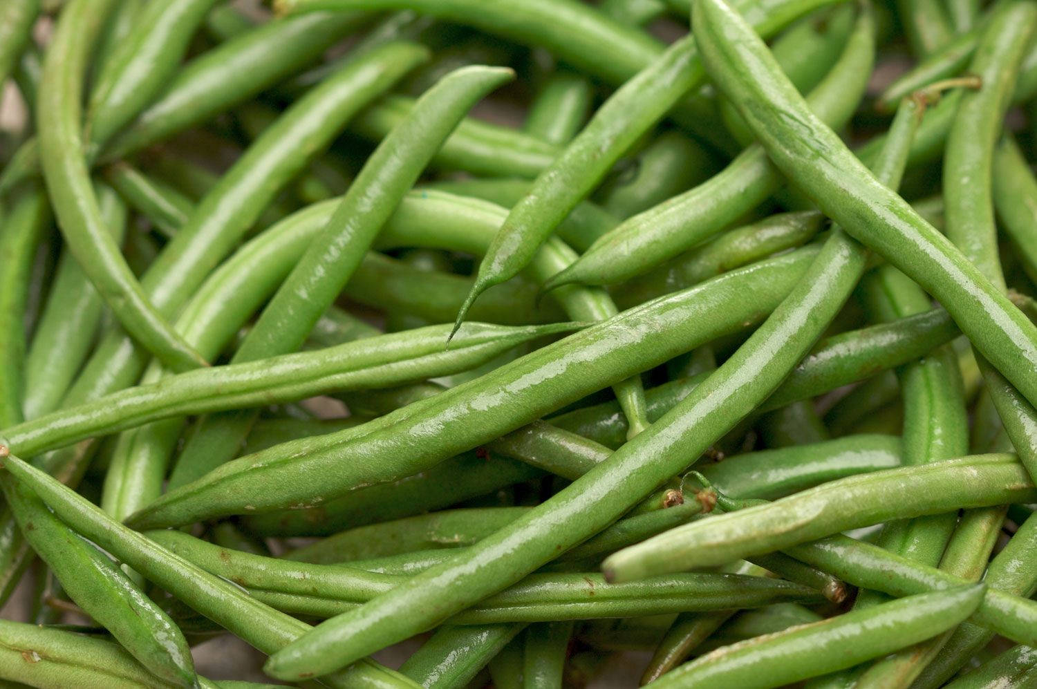 Fresh Green Beans Vegetables Background