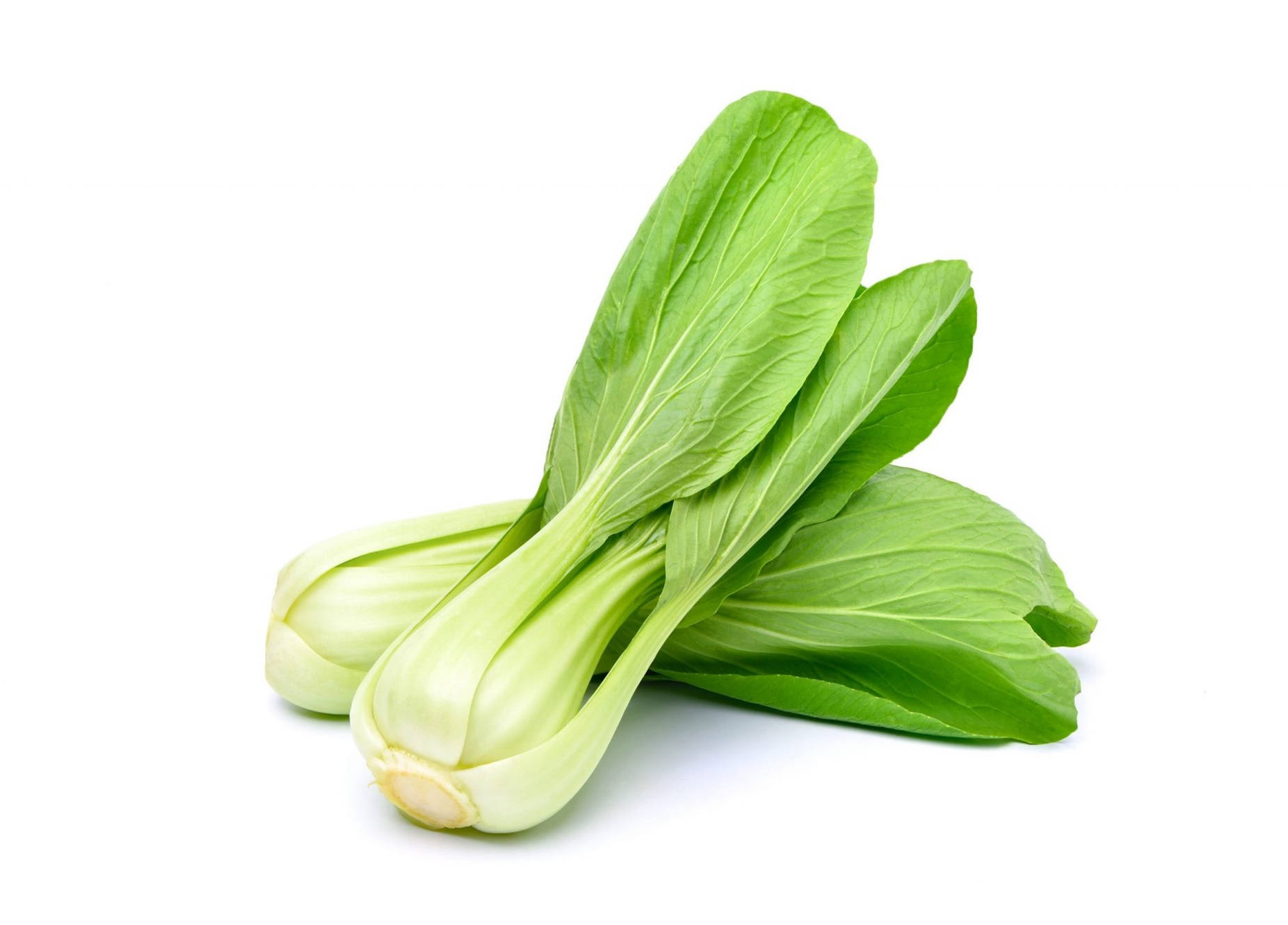 Fresh Green Bok Choy Cabbages Background