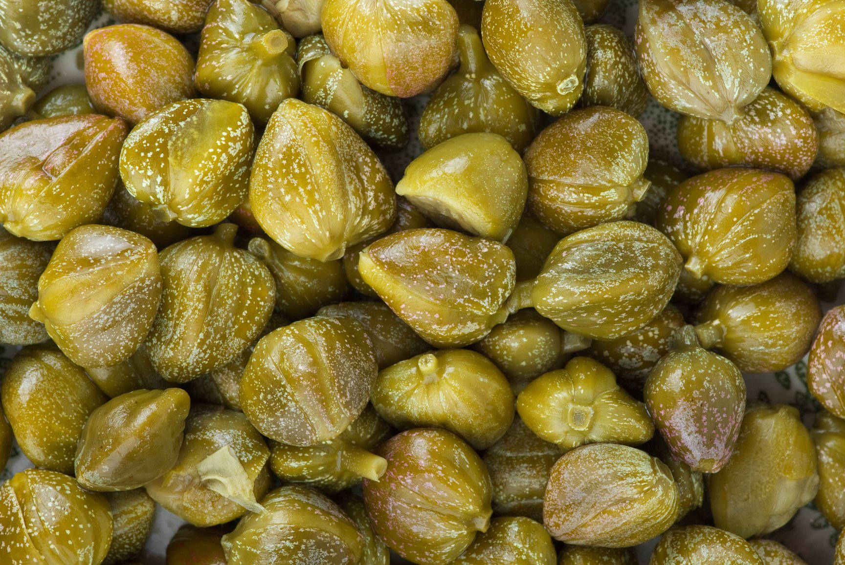 Fresh Green Caper Buds One Of Nature's Delights