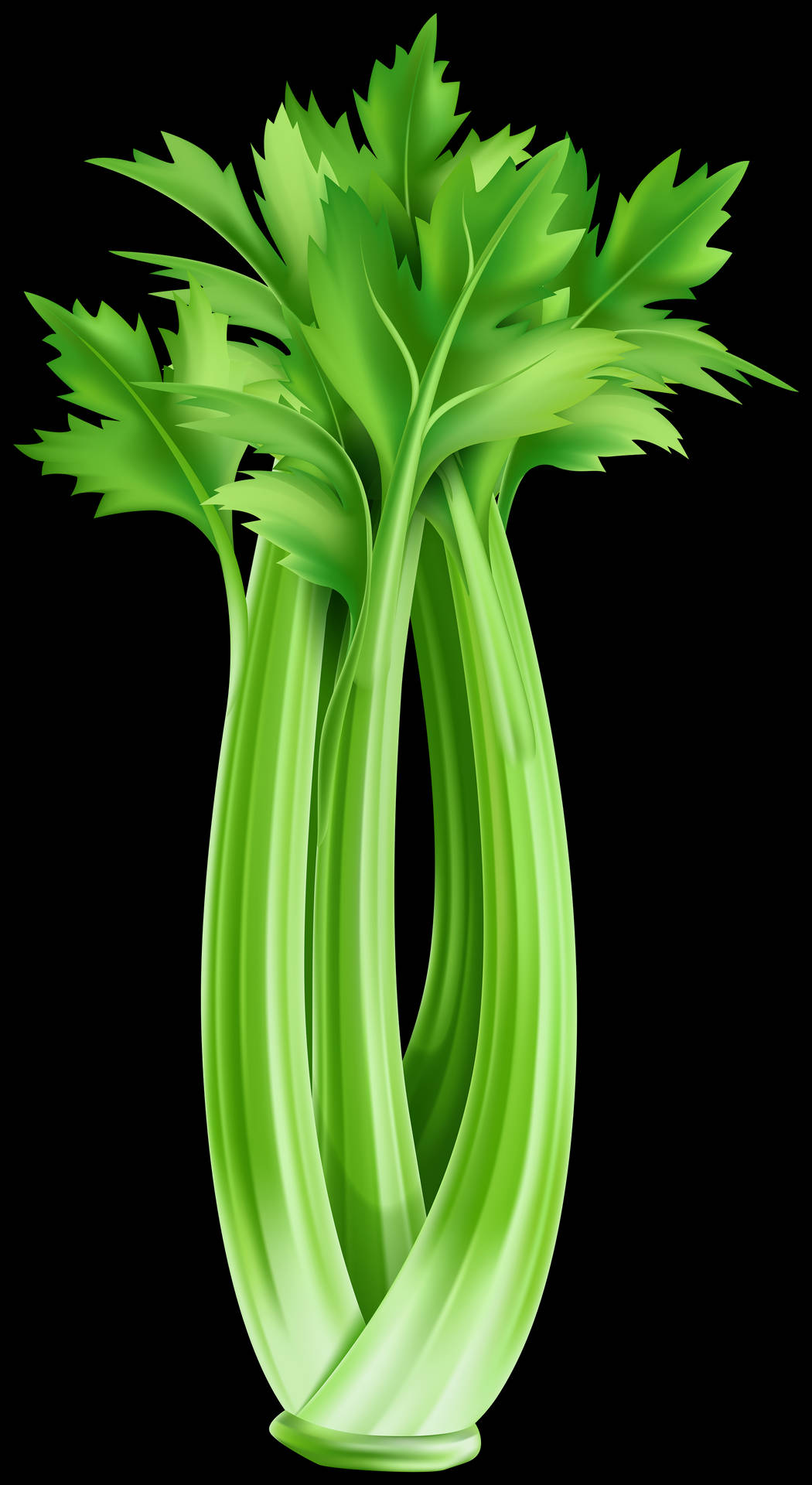 Fresh, Green Celery Stalks Growing In Marshland Background