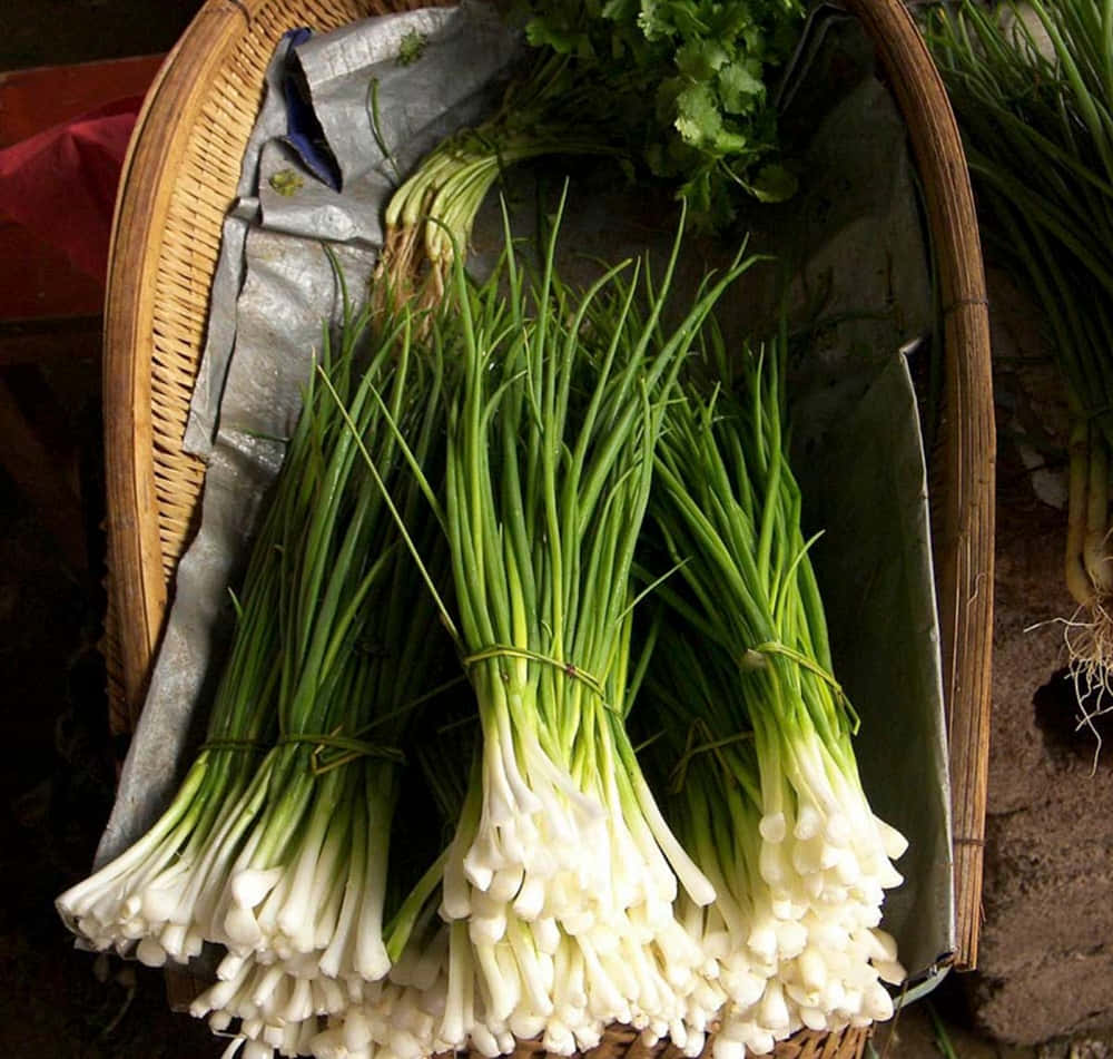 Fresh Green Chives With White Roots Background