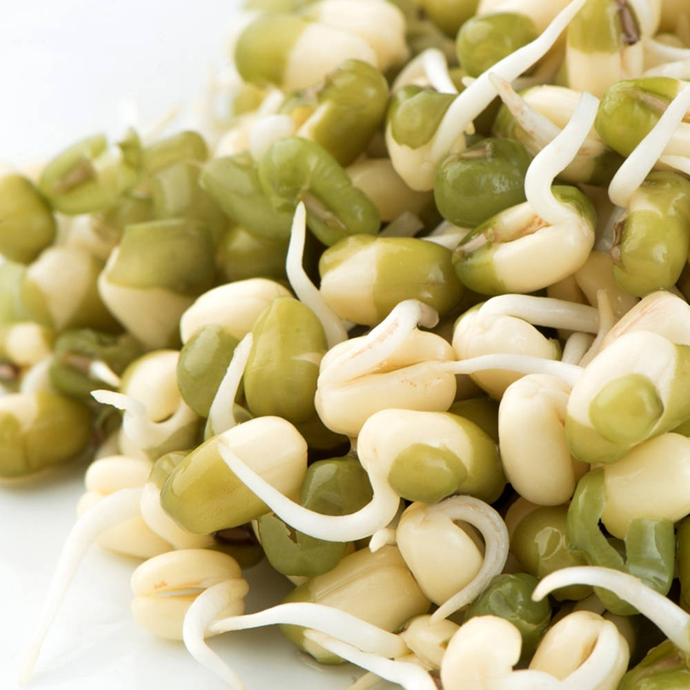 Fresh Green Mung Bean Sprouts Background