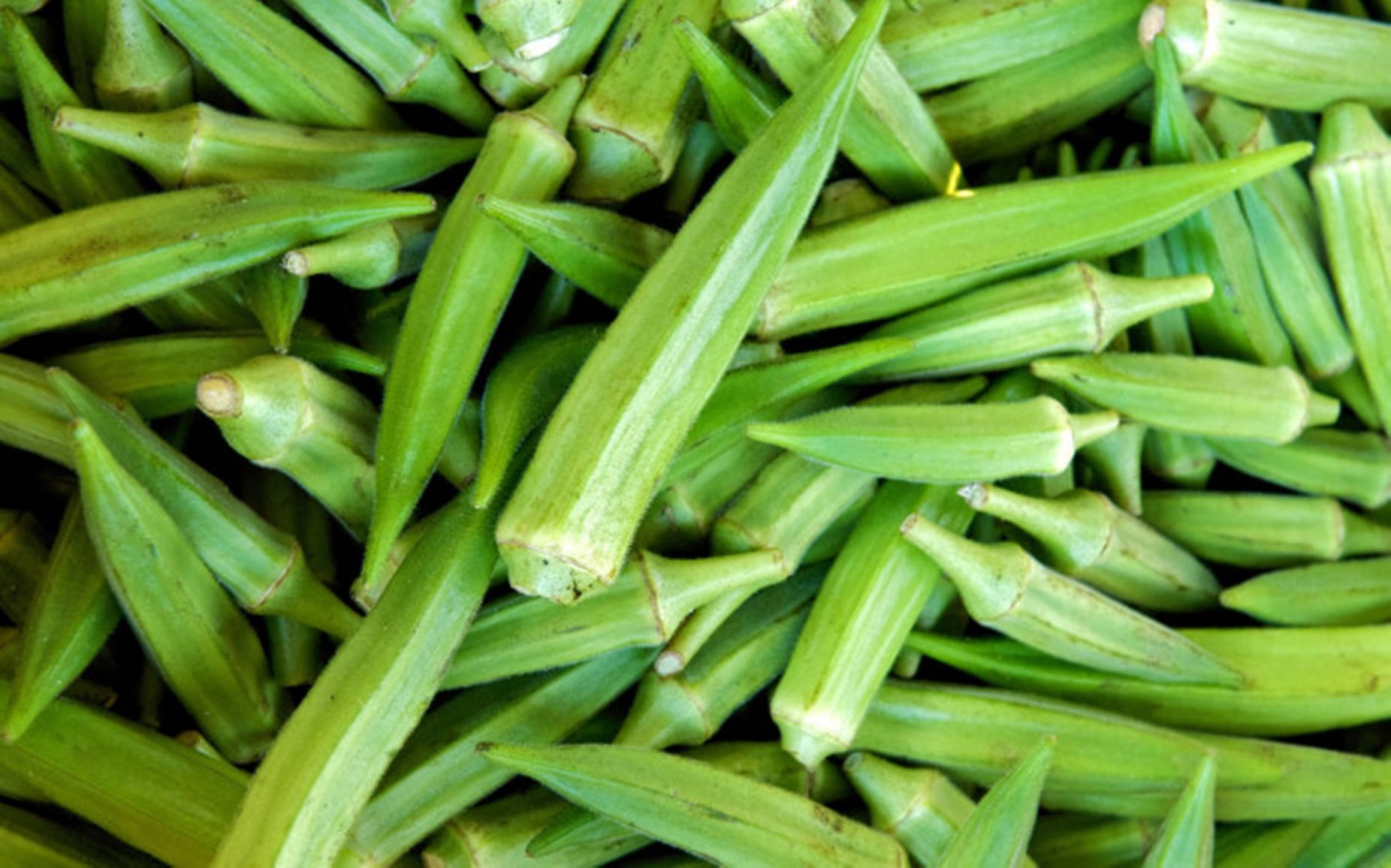 Fresh Green Okra Vegetable Background