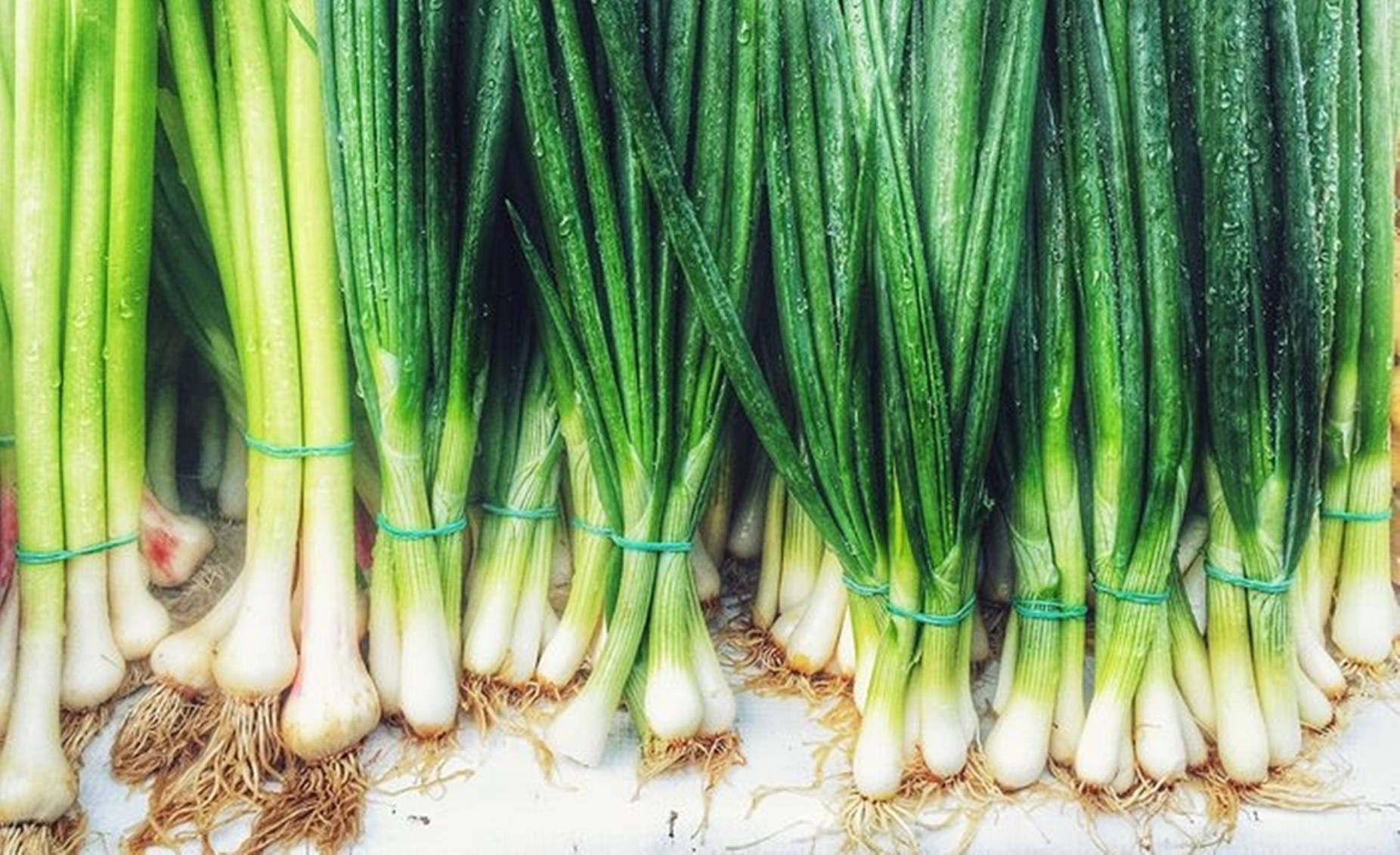 Fresh Green Onions In Bundles Background