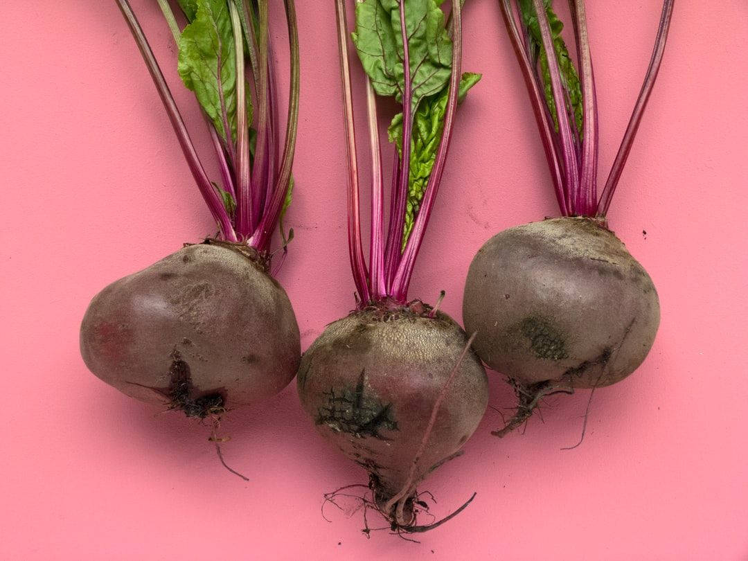 Fresh Harvest Of Vibrant Beetroot Vegetables