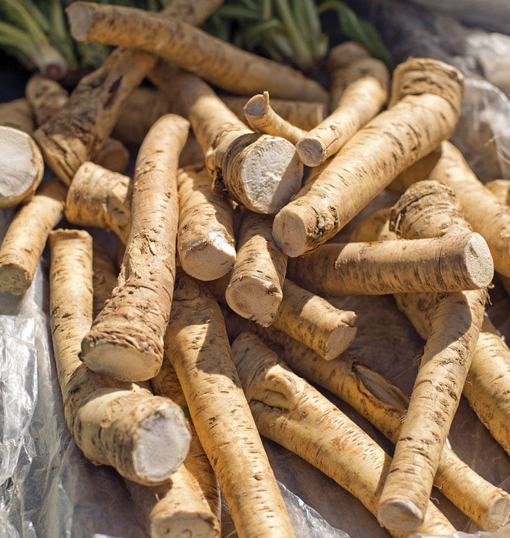 Fresh Horseradish Veggies