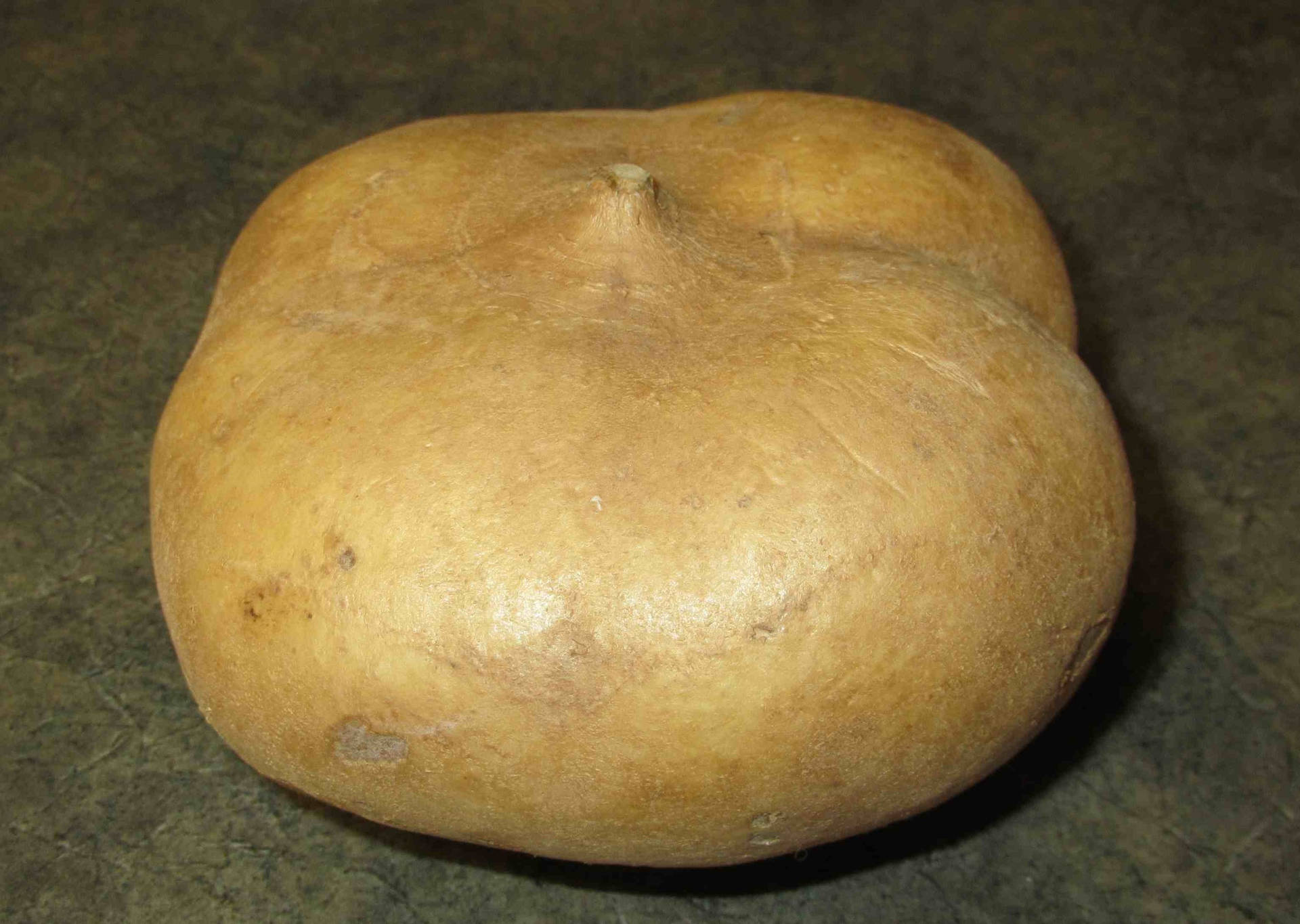 Fresh Jicama Root