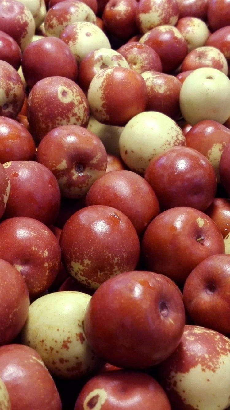 Fresh Jujube Fruits