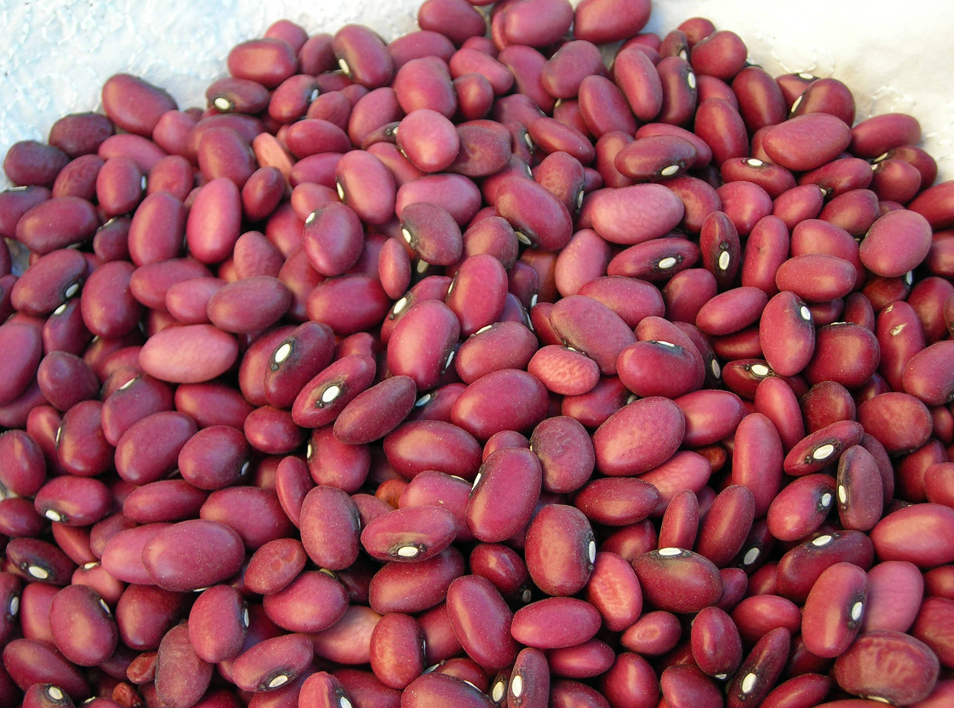 Fresh Kidney Beans